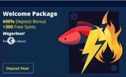 Welcome bonus